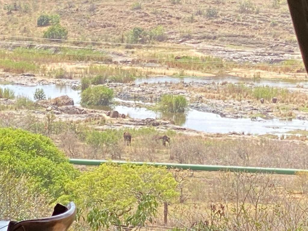 Croc River Lodge Komatipoort Exterior photo